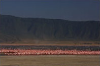 Landscapes